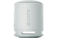 Sony SRS-XB100 Wireless Portable Bluetooth Speaker - Grey