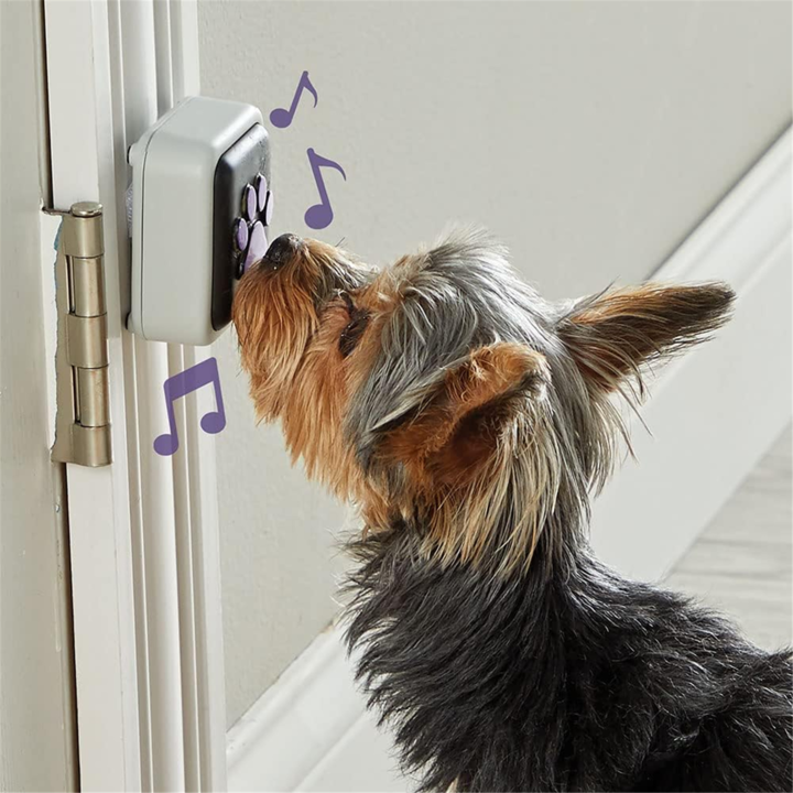 5634367   hungerforwords talking pet doorbell for dogs 2